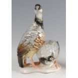 Karl Ens - a porcelain model of a pair of Partridge, one standing and the other squatting,