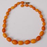 A beaded and graduated butterscotch amber single string necklace, gross weight 32g, comprising 28