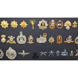 A collection of various reproduction cap badges, mounted over two display boards, approximately 90