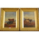 H James - cattle in a highland landscape, pair, oil on canvas, each signed lower right, 35x24cm