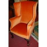 An early 20th century walnut framed and upholstered wingback armchair, raised on acanthus leaf