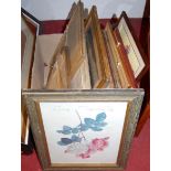 Box of assorted pictures, prints, mirrors etc