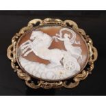 A large carved shell cameo brooch in yellow metal mount, featuring a Roman goddess riding a horse-