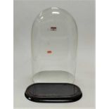 A Victorian glass dome on associated ebonised plinth, dome approx h.47cm (excluding plinth)Condition