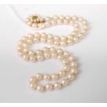 A knotted cultured pearl single string necklace, having 9ct gold seed pearl and green peridot set