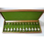 The Royal Horticultural Society cased set of twelve silver flower spoons, case w.47.5cm