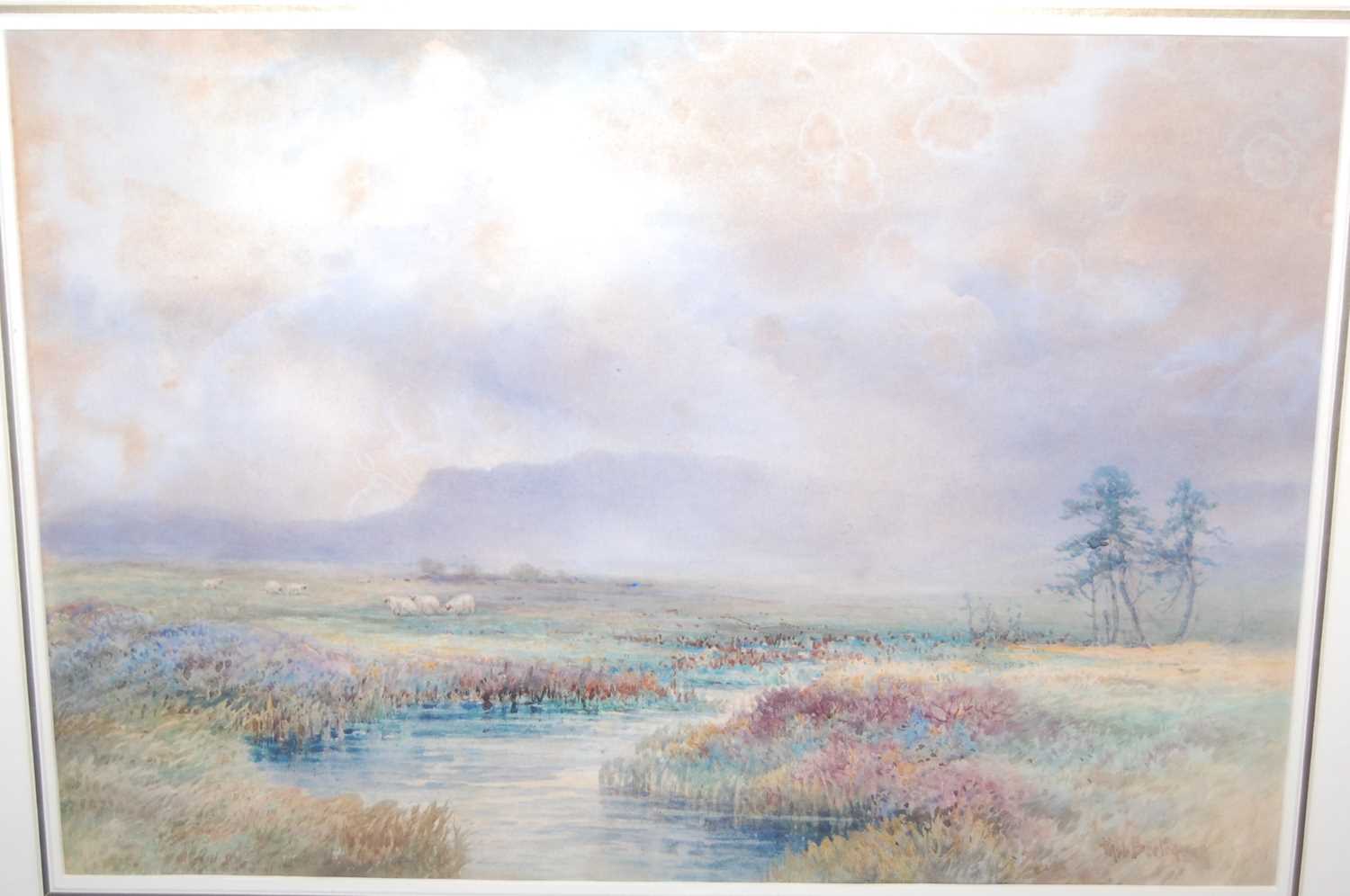 Early 20th century English school - Sheep grazing in a misty landscape, watercolour, indistinctly