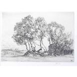 Fred Burridge (1869-1945) - Alder bushes, etching, signed in pencil to the margin, 14.5 x 21cm