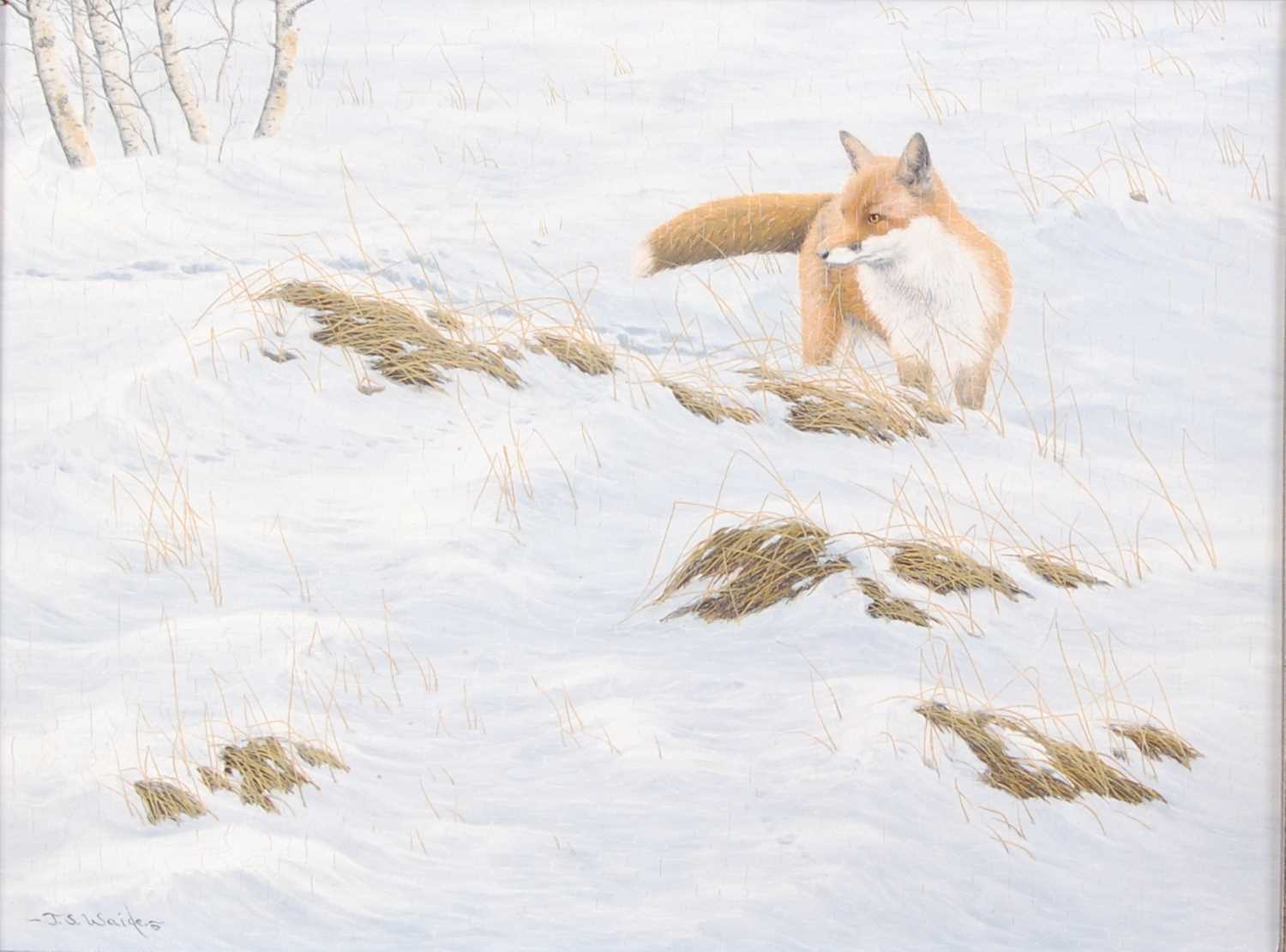 Jerry S. Waide (b.1948) - Fox in a winter landscape, oil on board, signed lower left, 30 x 40cm