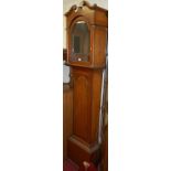 An early 19th century provincial oak longcase clock (case only); together with a pendulum, two