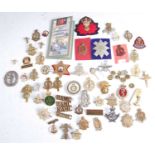 A collection of cap badges, cloth badges, shoulder titles and insignia