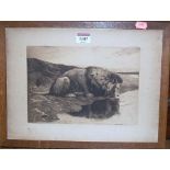 Herbert Dicksee - Lion watering, etching, 17 x 25cmCondition report: Missing glass to frame. Print