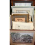 A box of assorted pictures, prints, mirrors, after Robert Morden county map of Essex etc