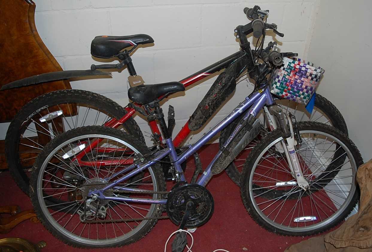 Two Apollo child's mountain bikes