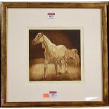 Elizabeth Moriarty - Liberty Horses, Zippos Circus, etching, signed, titled and numbered 2/50 in