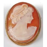 A carved shell cameo brooch in 9ct gold mount, 31 x 24mmCondition report: The brooch closes tight