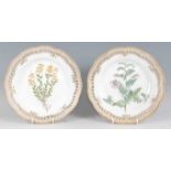 A set of twelve Royal Copenhagen porcelain Flora Danica cabinet plates, each of pierced and shaped