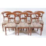 A set of seven early Victorian faded mahogany balloon back dining chairs, with stuffover seats and