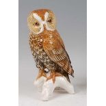 Karl Ens - a large glazed porcelain model of a Barn Owl, perched on a branch, printed mark and