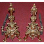 A pair of 19th century French brass and steel andirons