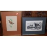 Assorted pictures and prints, to include examples by Spy, ornithological engravings etc