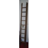 A pine twin section ladder