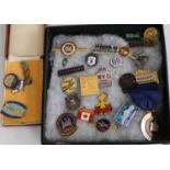 A collection of modern principally gilt metal and enamel set pin and lapel badges