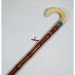 A 19th centruy bamboo walking stick with ivory handle and silver collar, 85cm