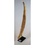 A carved bone decorated with scrolls and lizards, probably Aboriginal, mounted on a display stand,