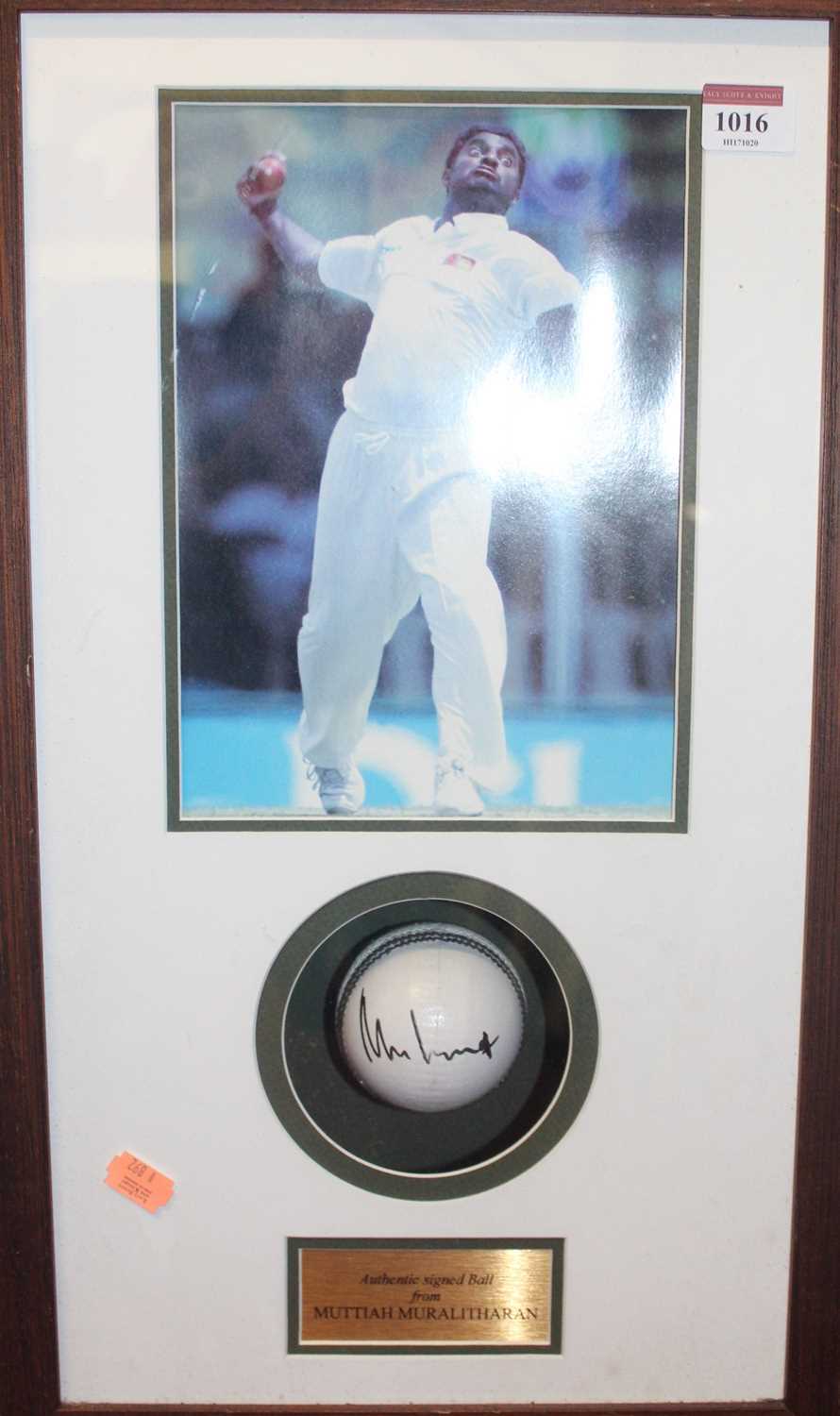 Cricket interest - a cricket ball signed by Muttiah Muralitharan in gazed display case with