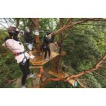GoApe Outdoor Corporate Team Adventure Day for 15 People in Thetford Forest, Suffolk Norfolk border,