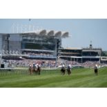 Newmarket Racecourse VIP Experience for 4 people with full hospitality at The Rowley Mile Course