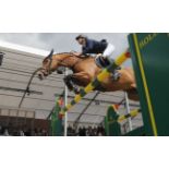 2 Tickets to The Royal Windsor Horse Show at Windsor May 12-16 2021 The opportunity for you and a