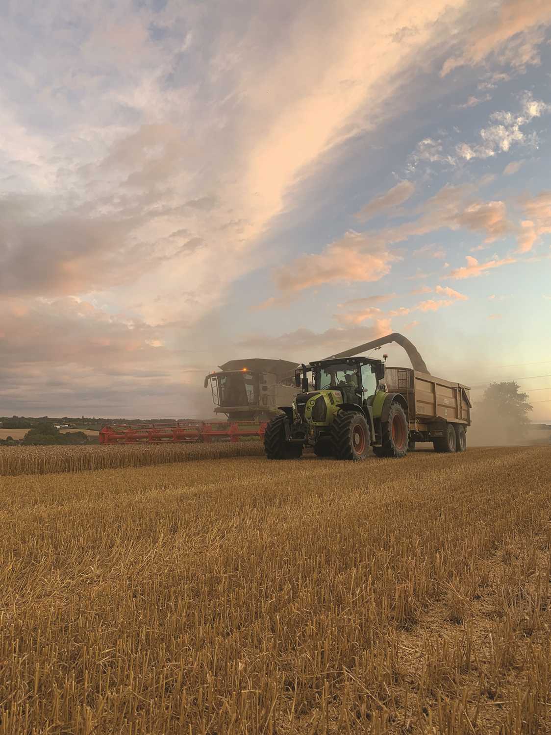 Hall Farm Combine Harvester Experience for 2 with a Picnic Lunch from FOLK Café and a Claas Driver