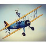 Wing Walk Experience - Essex Come and enjoy the ultimate experience for hardened thrill seekers!