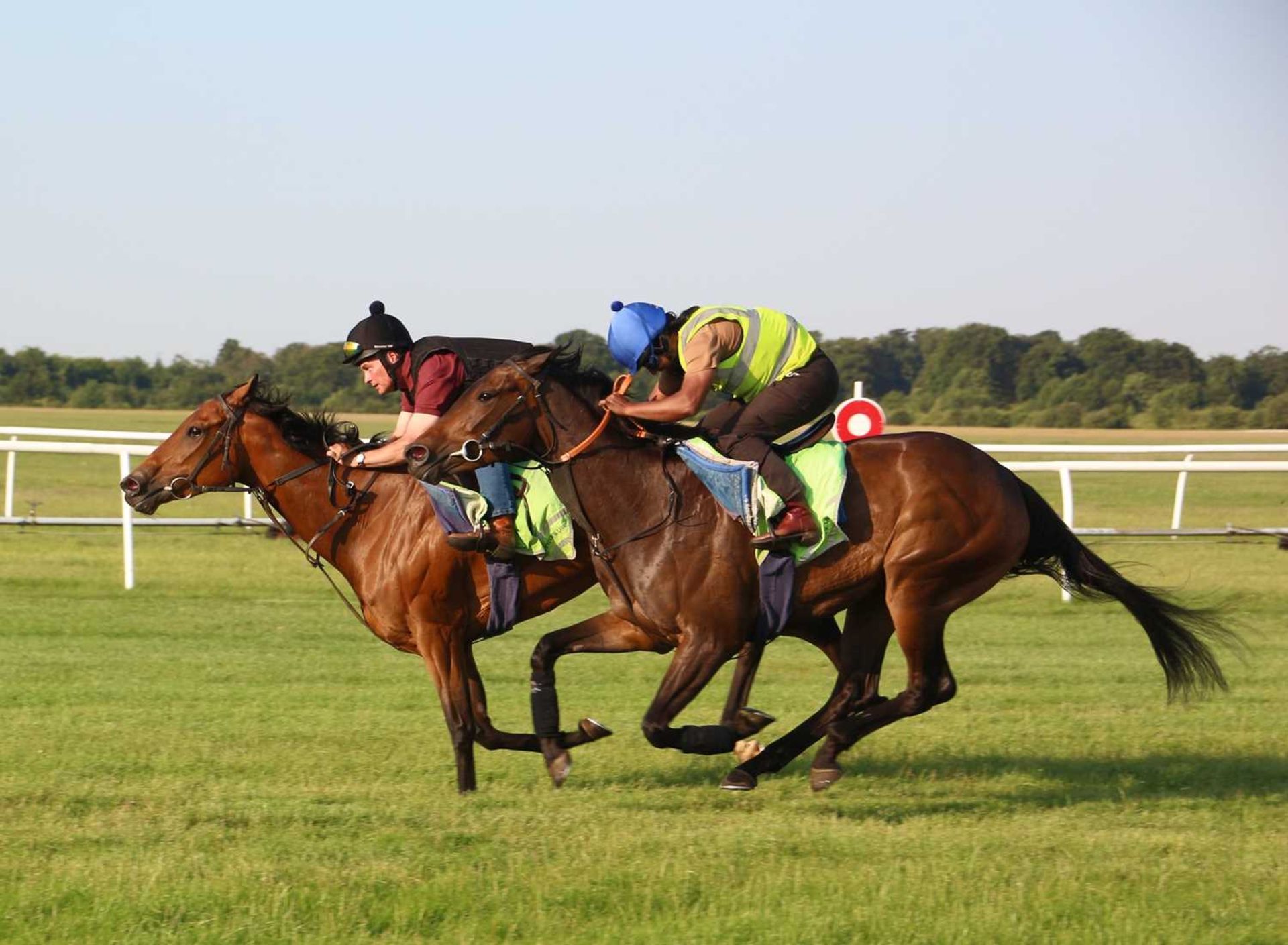 A Morning for 4 People on The Newmarket Gallops with Rae Guest   Enjoy a morning on the famous - Image 2 of 3