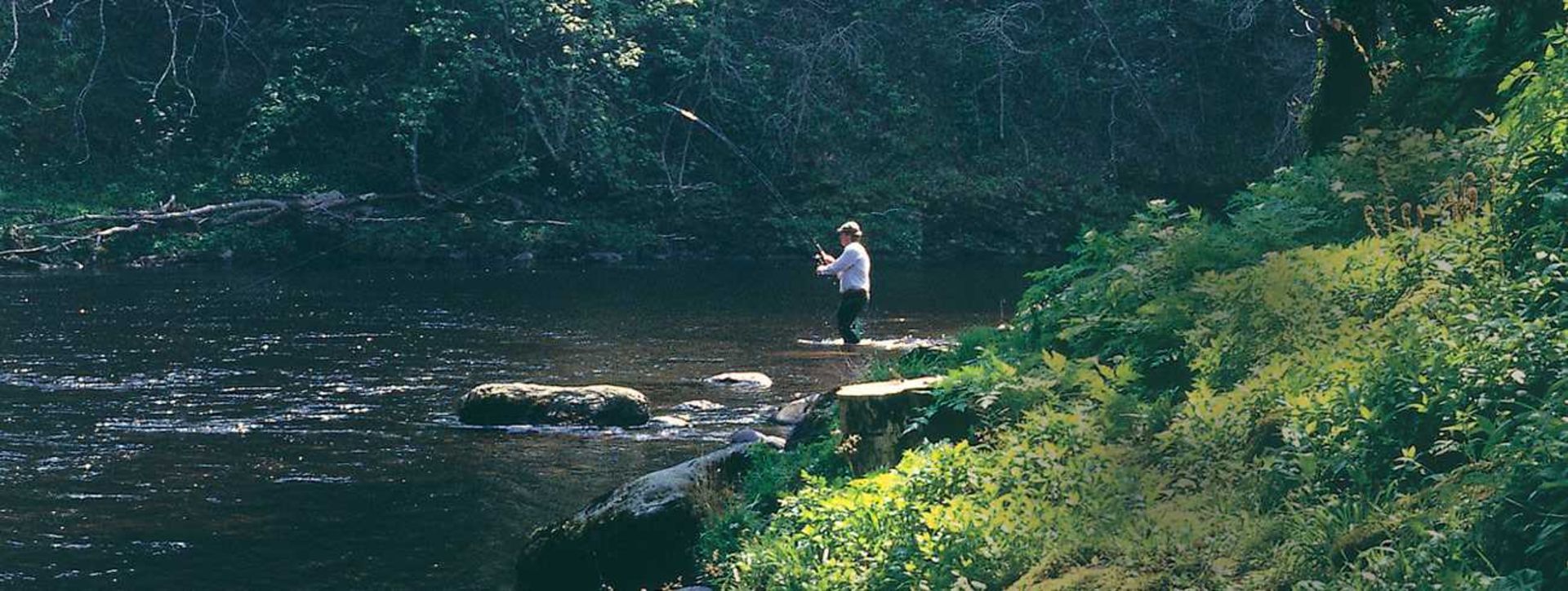 A Week’s Salmon Fishing for 2 near Blairgowrie, Scotland  A week’s salmon fishing for two rods on