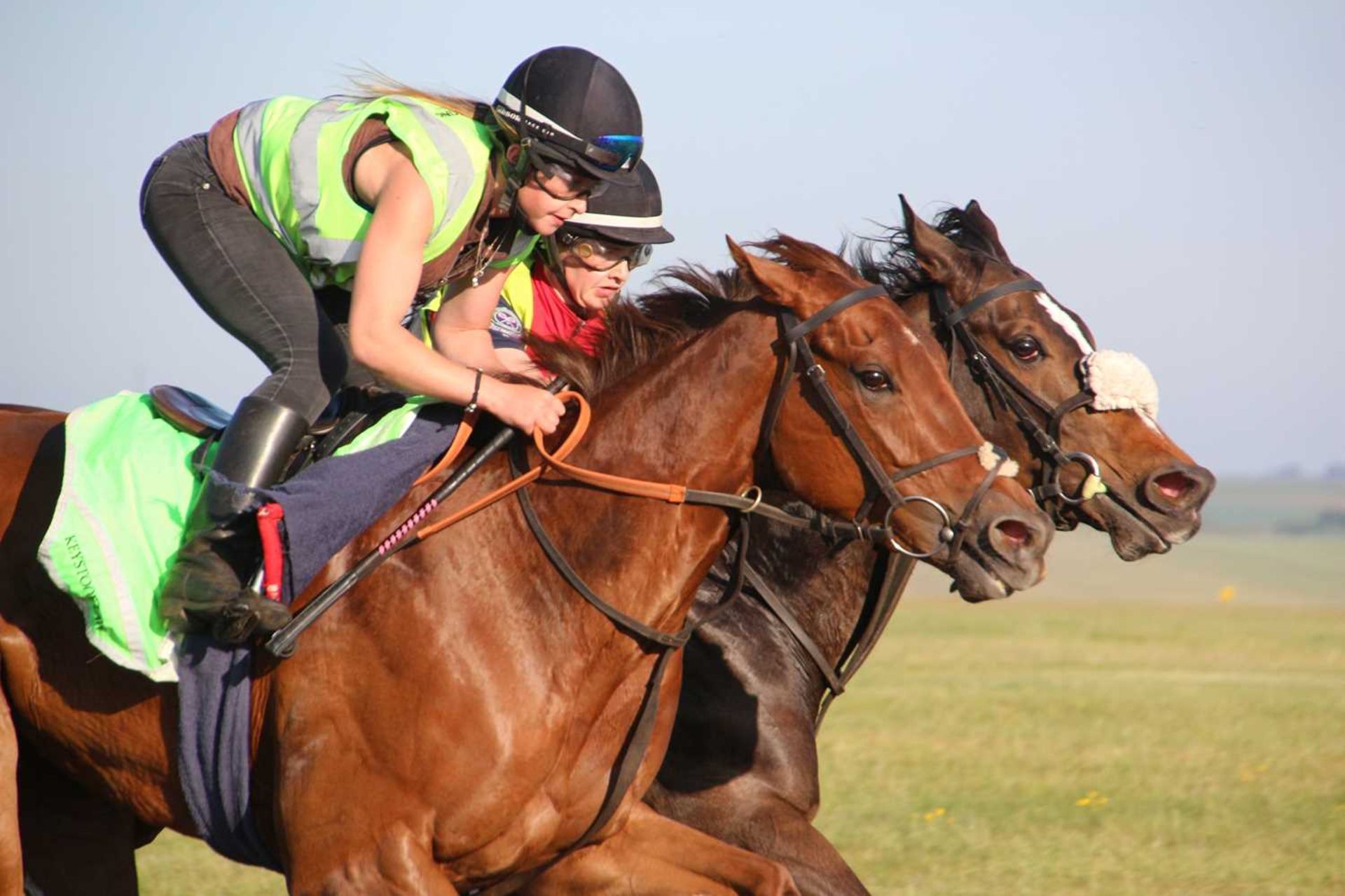 A Morning for 4 People on The Newmarket Gallops with Rae Guest   Enjoy a morning on the famous - Image 3 of 3