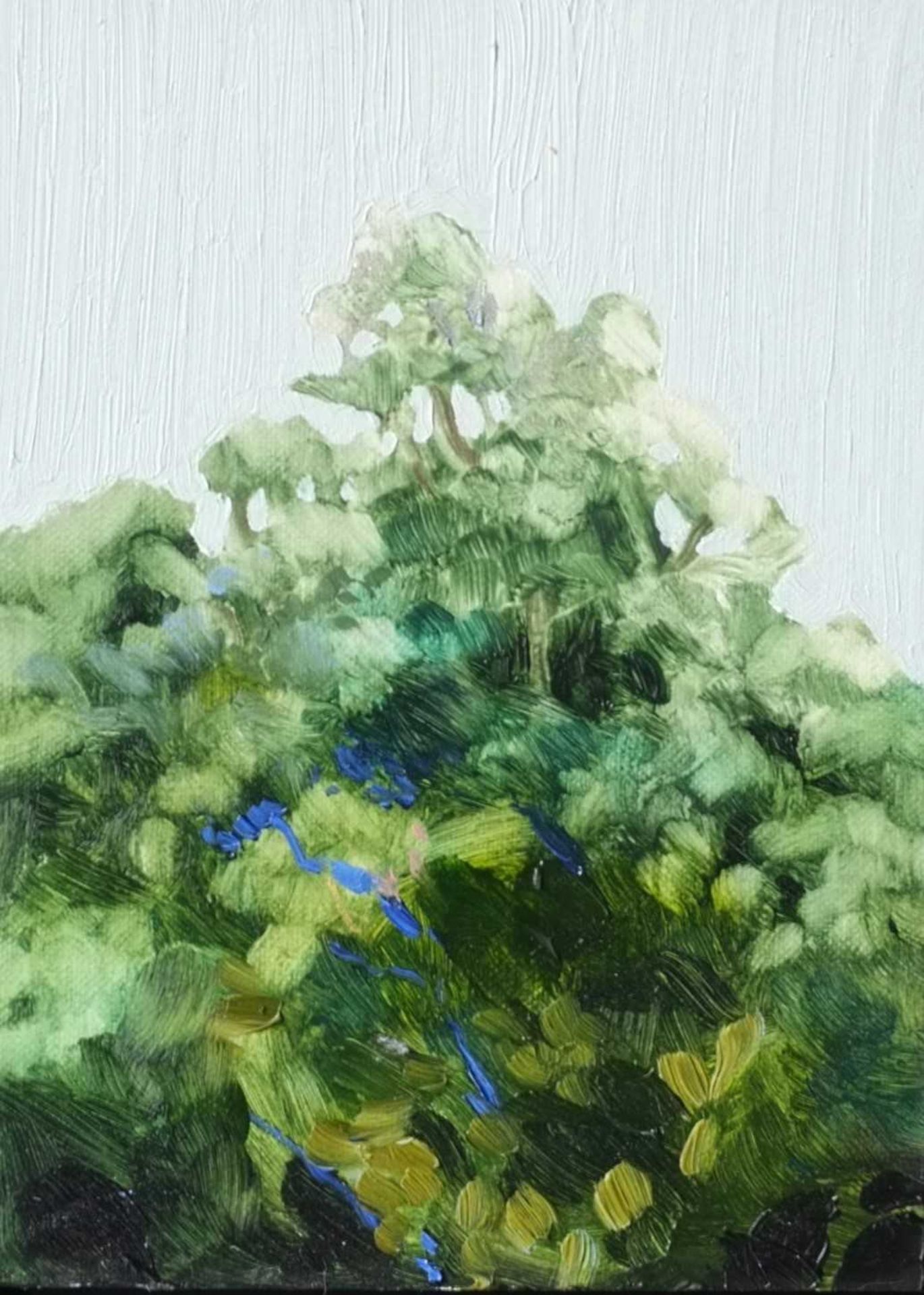 Jelly Green Painting The Canopy 14 Jelly Green, is a contemporary British painter, who divides her