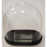 A glass clock dome on an oval ebonised plinth, h.41cm