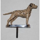 A mid 20th century chrome and painted car mascot in the form of a Dalmatian, height 8cm
