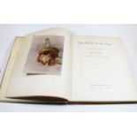 A. Croxton Smith, The Power of the Dog, with 19 plates in colour by Maud Earl, published by Hodder &