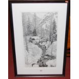 Federica Galli - Fiume Dora, etching, signed by the artist, edition 69/70, 64 x 35cm