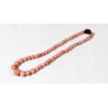 A pink polished hardstone single string beaded necklace, with gilt metal clasp