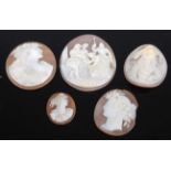 A collection of Victorian and later carved shell cameos, the largest depicting ceremonial