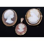 A carved shell cameo brooch in rolled gold mount, 31 x 24mm; together with two other smaller