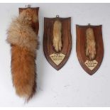 * An mid-20th century taxidermy Fox (Vulpes vulpes) brush, mounted on an oak shield, bearing a label