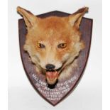 * A mid-20th century taxidermy Fox (Vulpes vulpes) mask, mounted on an oak shield annotated "