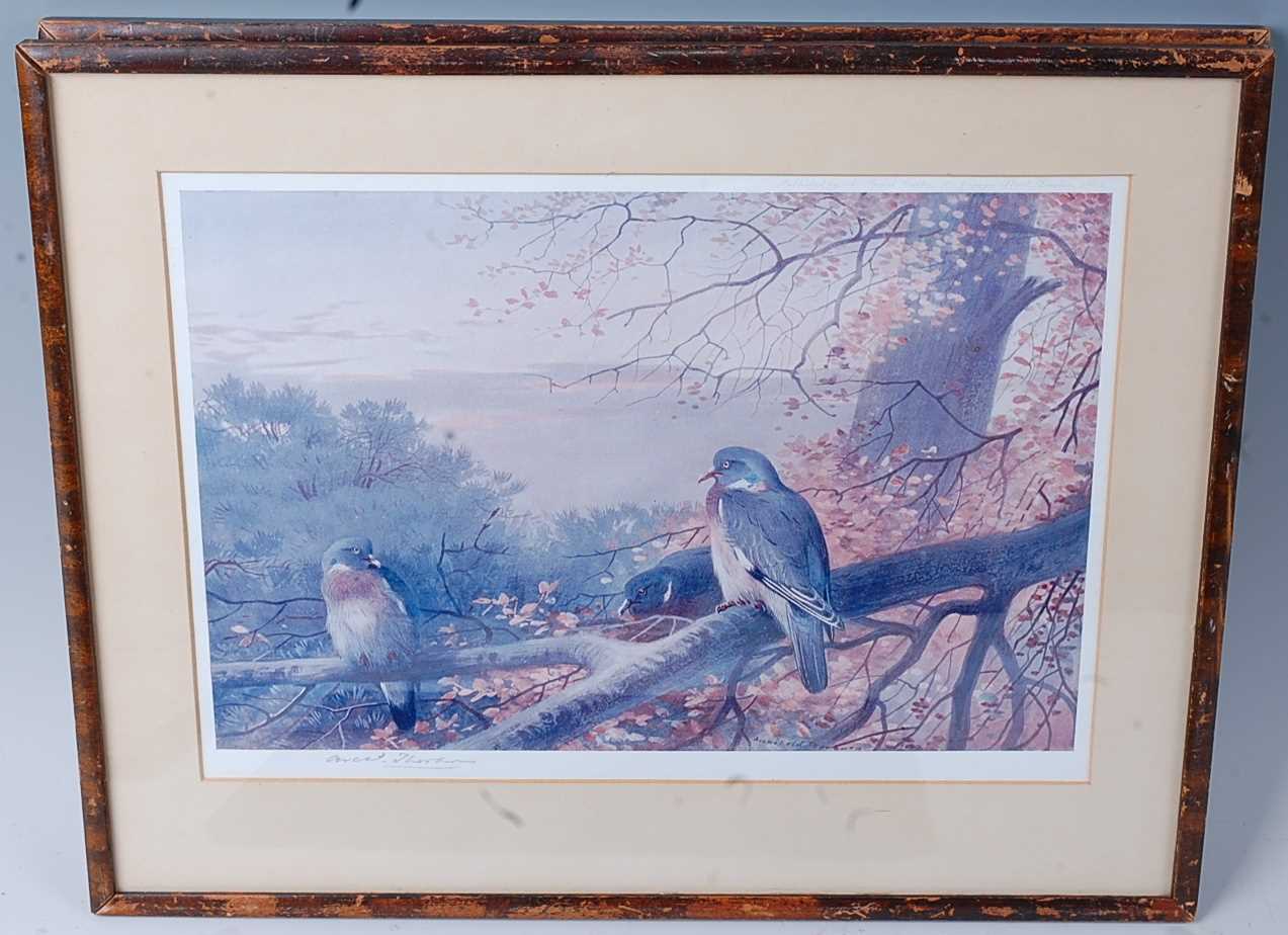 After Archibald Thorburn, (1860-1935), Pheasants and Grouse amongst reeds, lithograph print, - Image 5 of 5
