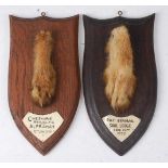 * A mid-20th century taxidermy Fox (Vulpes vulpes) pad, mounted on an oak shield and bearing a